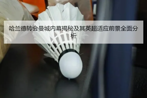 哈兰德转会曼城内幕揭秘及其英超适应前景全面分析